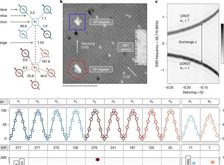 Silicon atom processor links 11 qubits with more than 99% fidelity
