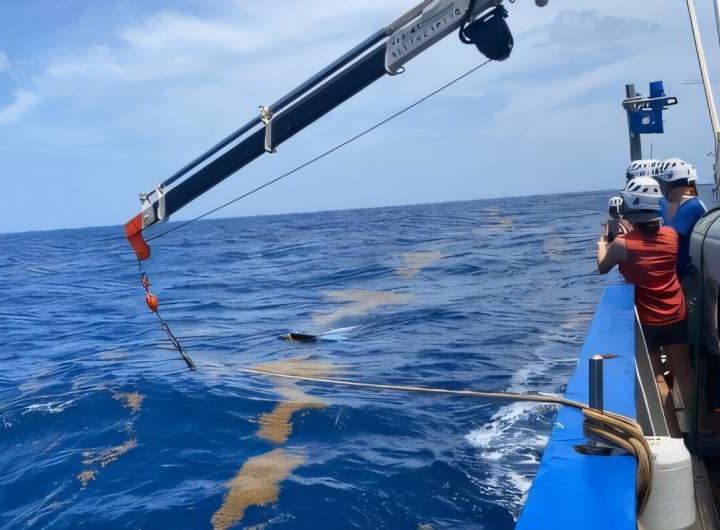 AI helps reveal global surge in floating algae