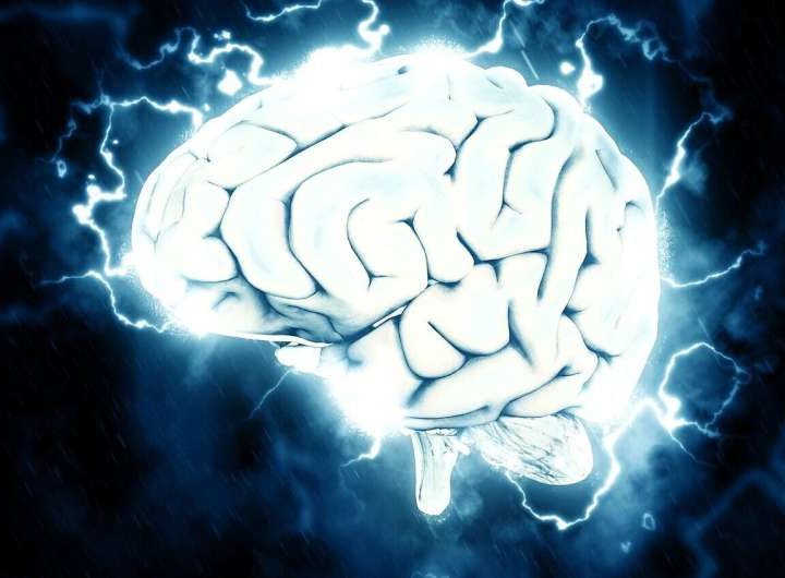 Computer brain games may boost white matter after chronic traumatic brain injury