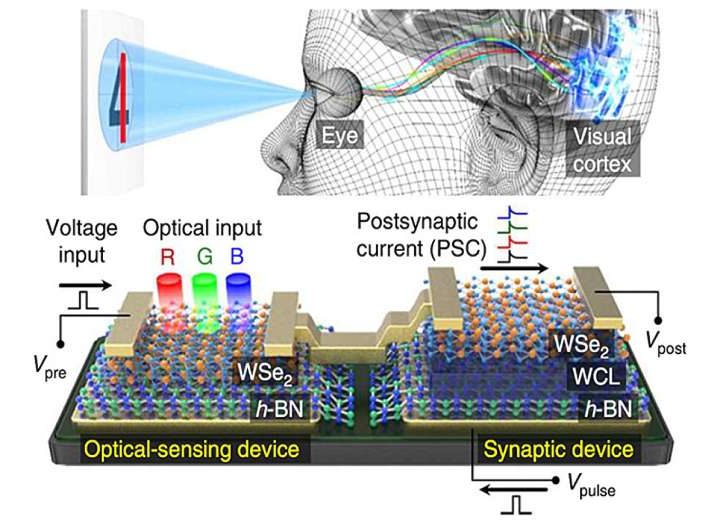 2D memristors could help solve AI’s energy problem