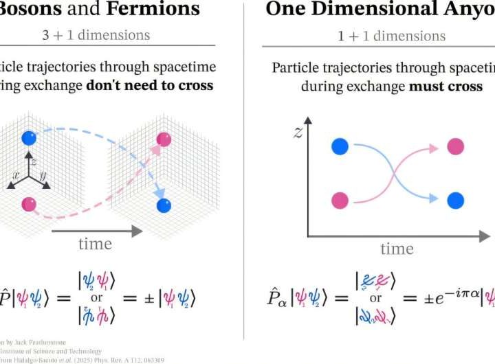 A new class of strange one-dimensional particles