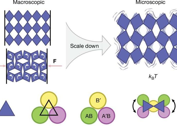 A world first at the microscopic scale: Metamaterials that can shrink and expand on their own