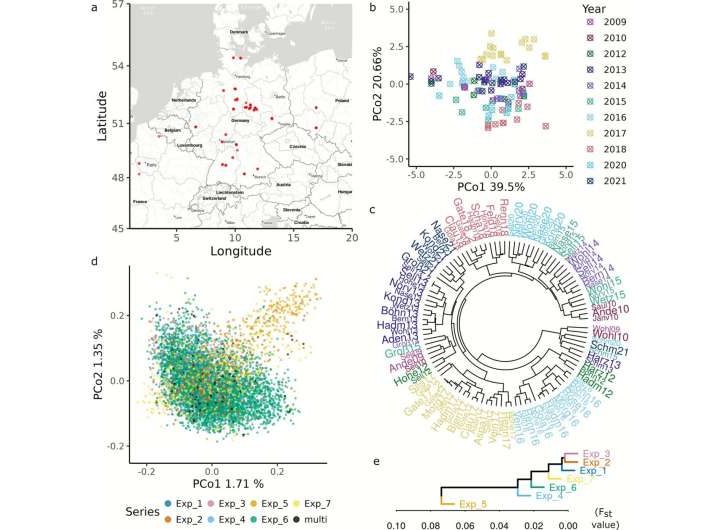Improving predictions for ‘tailor-made’ wheat with AI and big data