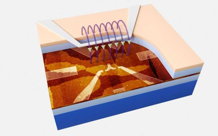 Silicon quantum processor detects single-qubit errors while preserving entanglement