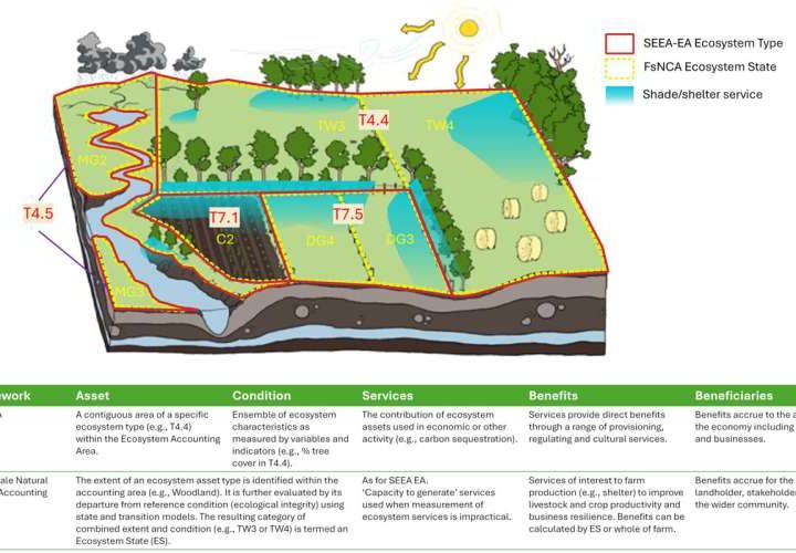 New farm accounting method measures natural capital across 50 Australian farms