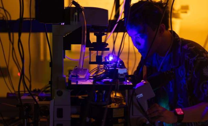 Hair-width LEDs could eventually replace lasers