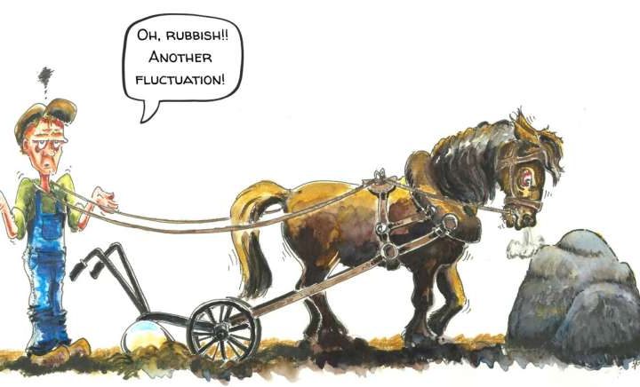 How to improve the performance of qubits: Super-fast fluctuation detection achieved