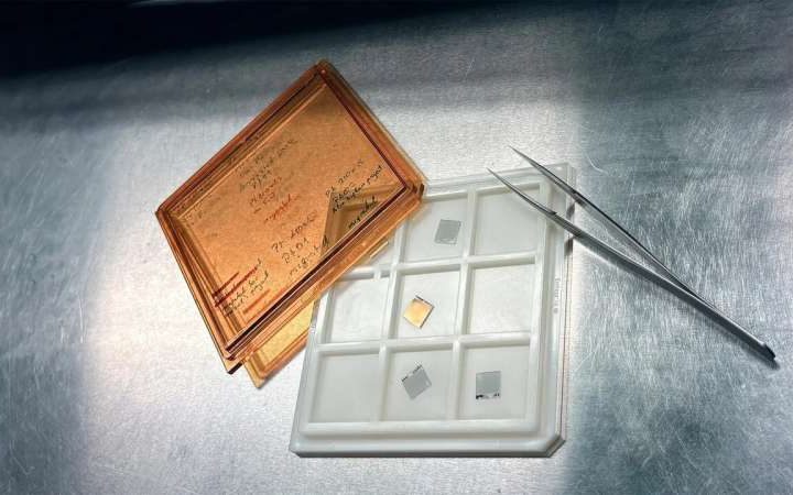 Humidity-resistant hydrogen sensor can improve safety in large-scale clean energy