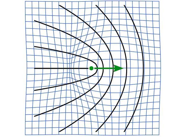Living tissues are shaped by self-propelled topological defects, biophysicists find