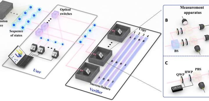Optical switch protocol verifies entangled quantum states in real time without destroying them