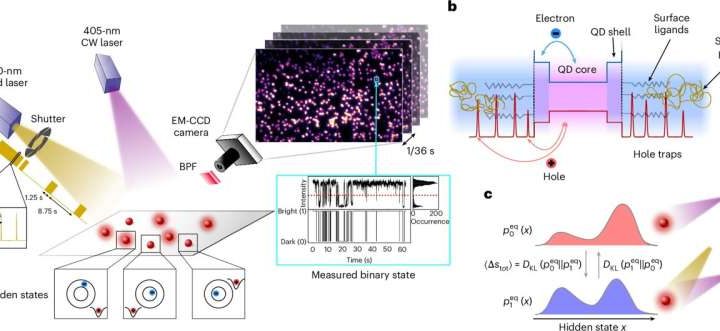 Quantum dots reveal entropy production, a key measure of nanoscale energy dissipation