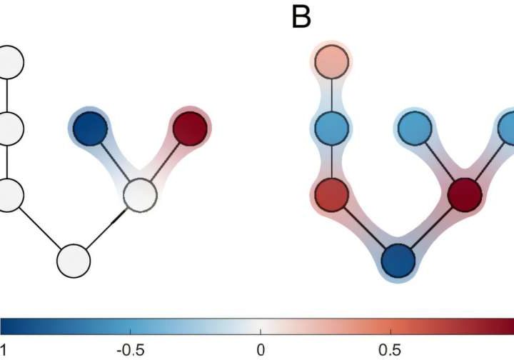 From power grids to epidemics: Study shows how small patterns trigger systemic failures