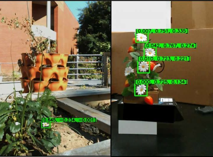 Robot pollinator uses computer vision to shake flowers and boost indoor farm yields