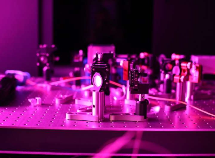 Quantum simulator reveals statistical localization that keeps most qubit states frozen