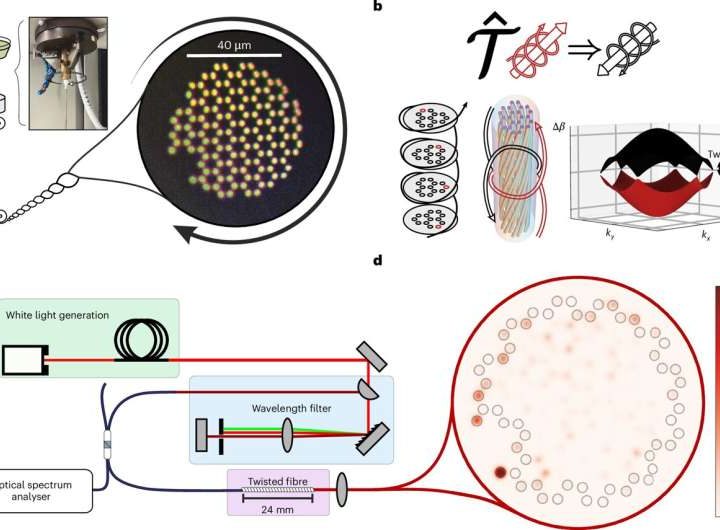 Twisting optical fiber creates a robust new pathway for light