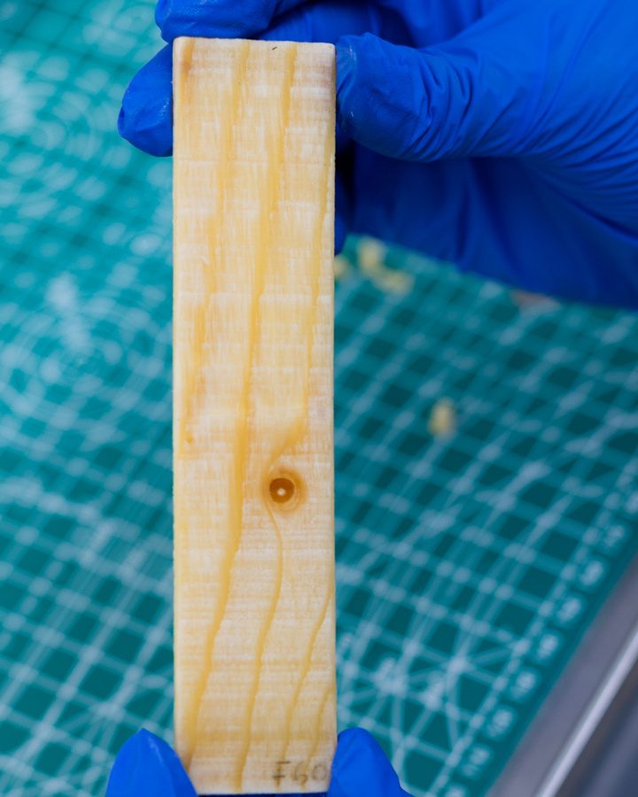 Wood-based material stores heat to cut building energy demand