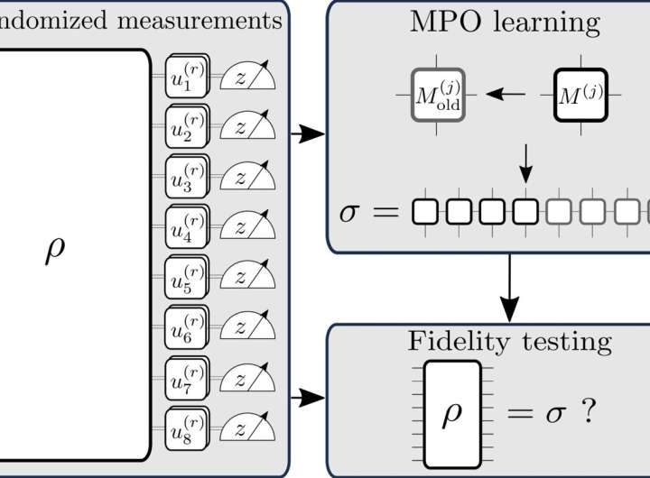 Novel protocol reconstructs quantum states in large-scale experiments up to 96 qubits