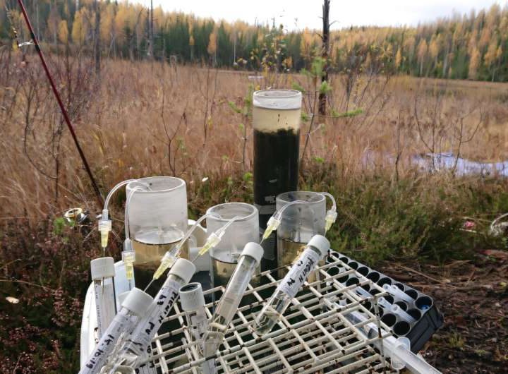 Contaminated aquatic sediments can be remediated on site using new methods