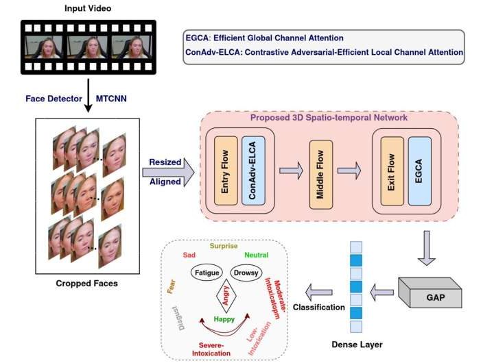 Facing the music: Detecting dangerous driving through AI facial analysis