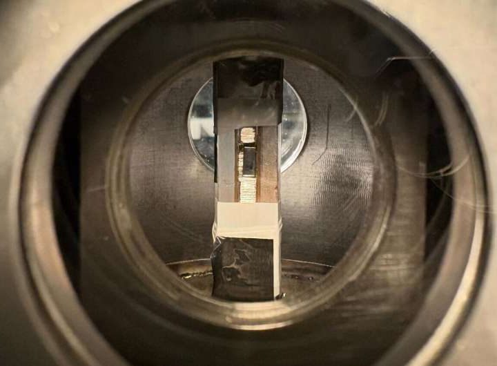 Heavier hydrogen makes silicon T centers shine brighter for quantum networks