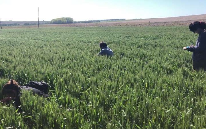 Increasing the share of organic farming leads to healthier, more diverse soils, international study finds
