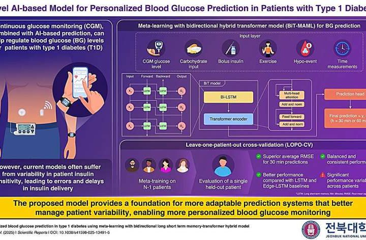 AI model enables personalized blood glucose predictions for type one diabetes