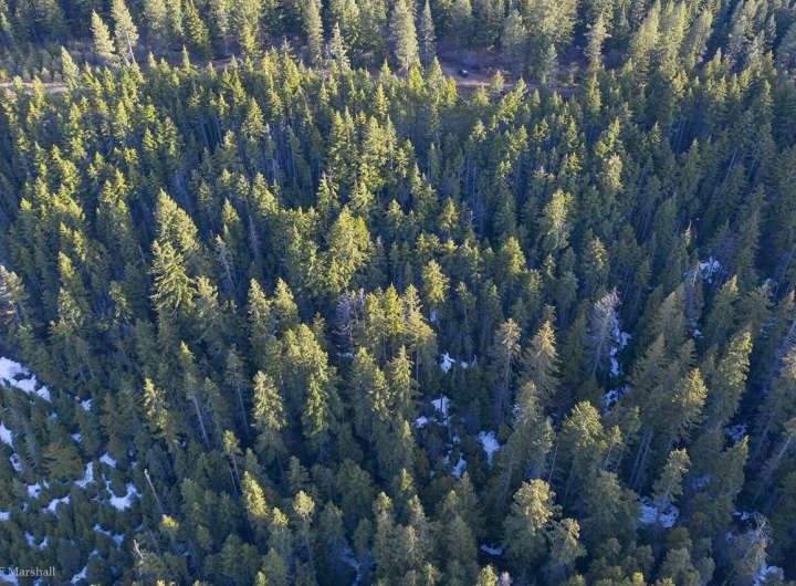 Modern twist on wildfire management methods has a bonus feature that protects water supplies