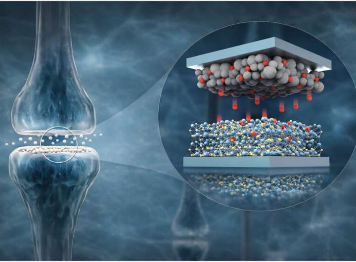 Novel AI semiconductor uses hydrogen ions for learning and memory