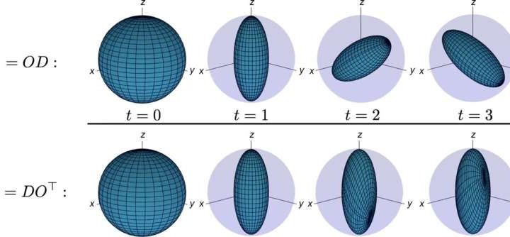 Quantum dynamics show ‘memory’ depends on whether states or observables evolve