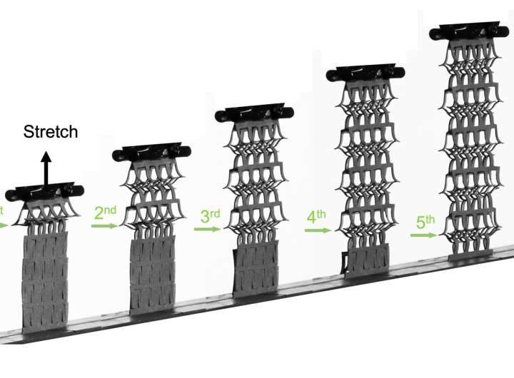 Magnets turn random snapping in soft metamaterials into repeatable sequences