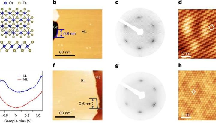 Researchers realize room-temperature two-dimensional multiferroic metal