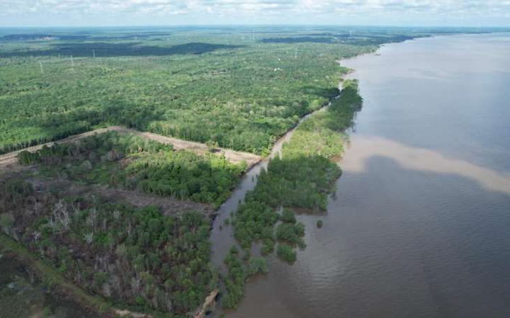 Software tool shows potential for cost effective coastal erosion monitoring