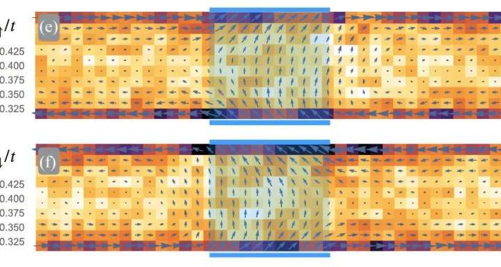Superconducting altermagnets could carry spin without energy loss