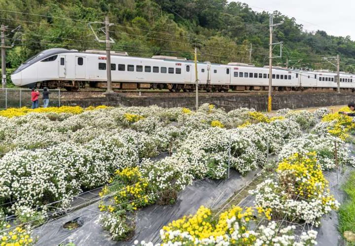 Digital transport apps conceal layers of technical, financial and policy complexity