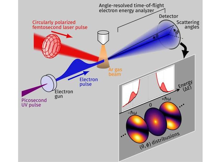 Laser-assisted electron scattering seen with circularly polarized light for the first time
