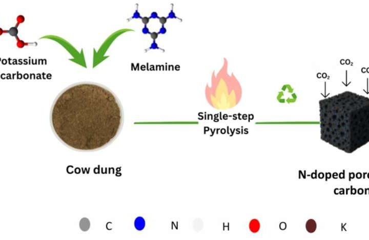 Using cow dung for sustainable carbon dioxide capture