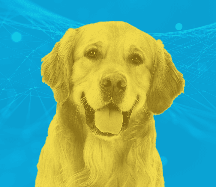Why the Future of Pet Health is AI-Powered
