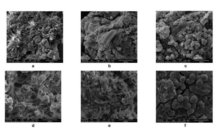 Clean concrete: How shrimp waste can transform sustainable construction