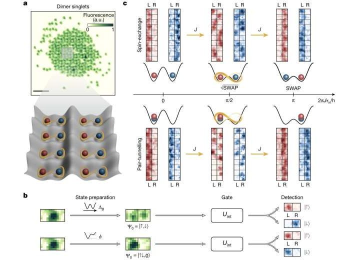 A long-sought quantum computing milestone arrives as fermionic atom gates top 99% accuracy