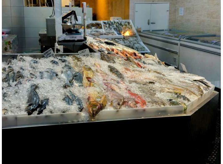 Mathematical model predicts fish freshness in real time