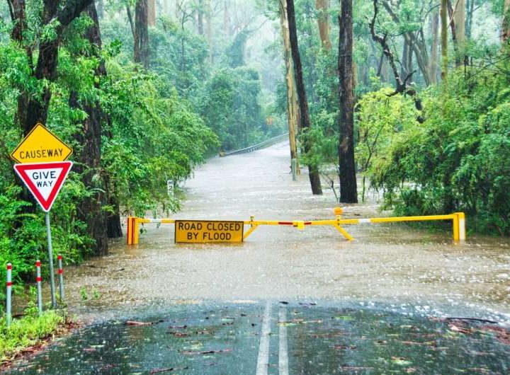 New research shows how forests can prevent floods of all sizes
