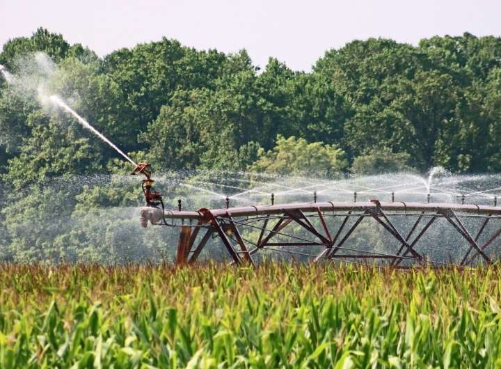 Smart irrigation rules could cut water use and raise farm profits