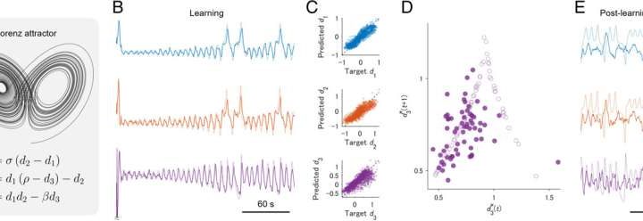 Living brain cells enable machine learning computations
