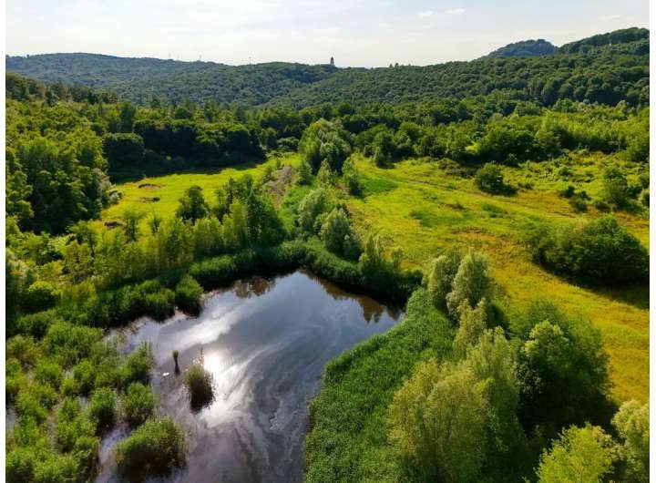 A host of positive ‘tipping points’ can regenerate nature