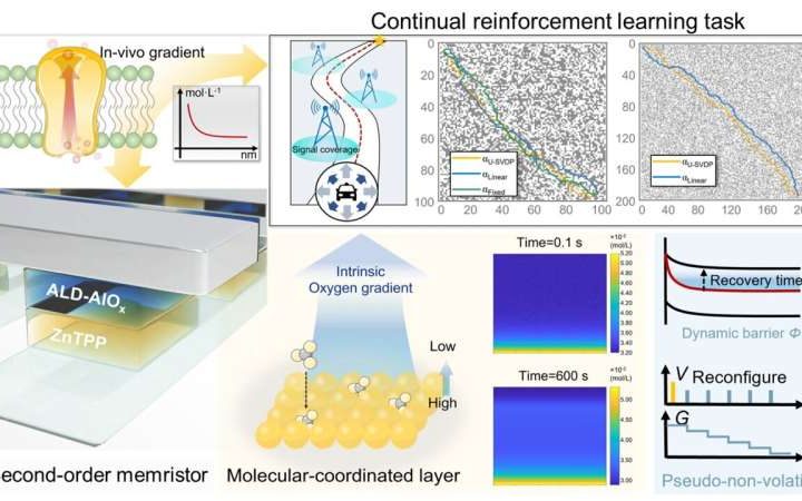 New memristor design uses built-in oxygen gradient to bring stability to reinforcement learning