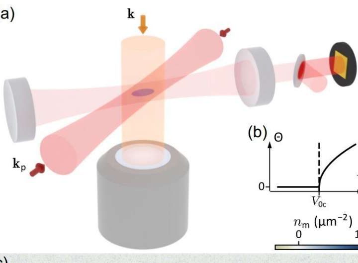 High-resolution imaging captures cavity-induced density waves in a quantum gas