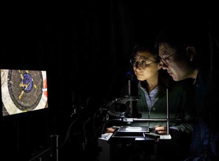 Next-gen semiconductors that share life’s handedness just got more practical