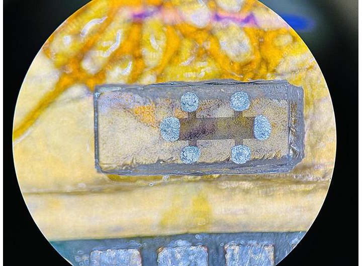 Superconductivity switched on in material once thought only magnetic