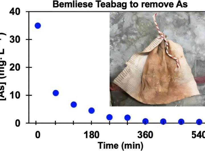 High school student designs low-cost teabags to remove arsenic from water and help millions