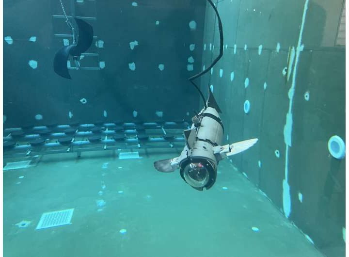Robotic fish prototype cuts aquaculture stress while inspecting nets and water